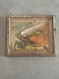 Trout Face- FRAMED 8x10 wood print