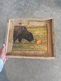 Bison Love- FRAMED 8x10 wood print