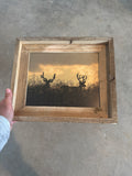 Two Bucks- FRAMED 8x10 wood print