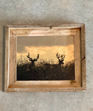 Two Bucks- FRAMED 8x10 wood print