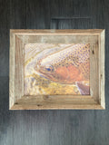 Trout Face- FRAMED 8x10 wood print