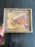 Trout Face- FRAMED 8x10 wood print