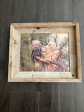 Perched Eagle- FRAMED 8x10 wood print