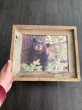 Napping Bear- FRAMED 8x10 wood print