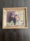 Napping Bear- FRAMED 8x10 wood print