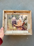 Perched Eagle- FRAMED 8x10 wood print