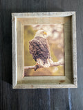 Sunset Eagle- FRAMED 8x10 wood print