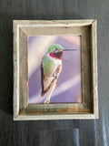 Anna's Hummingbird- FRAMED 8x10 wood print