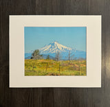 Mt. Hood photo print- 11x14