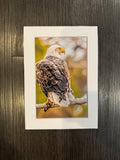 "Sunset Eagle" 5x7 print
