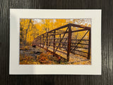 "Foliage Bridge" 5x7 print