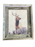 Elk Head Turn- FRAMED 8x10 wood print