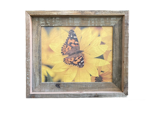 Painted Lady Butterfly- FRAMED 8x10 Wood Print