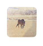 Coaster- Horse in Montana