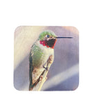 Coaster- Hummingbird