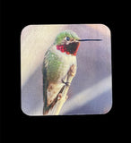 Coaster- Hummingbird