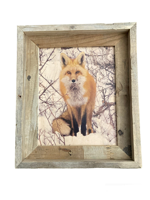 Snowy Fox- FRAMED 8x10 wood print