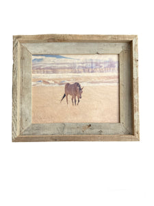 Horse in Montana- FRAMED 8x10 wood print