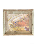 Trout Face- FRAMED 8x10 wood print