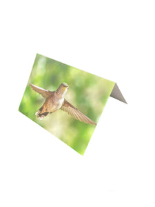 Card- Hummingbird Wing Span