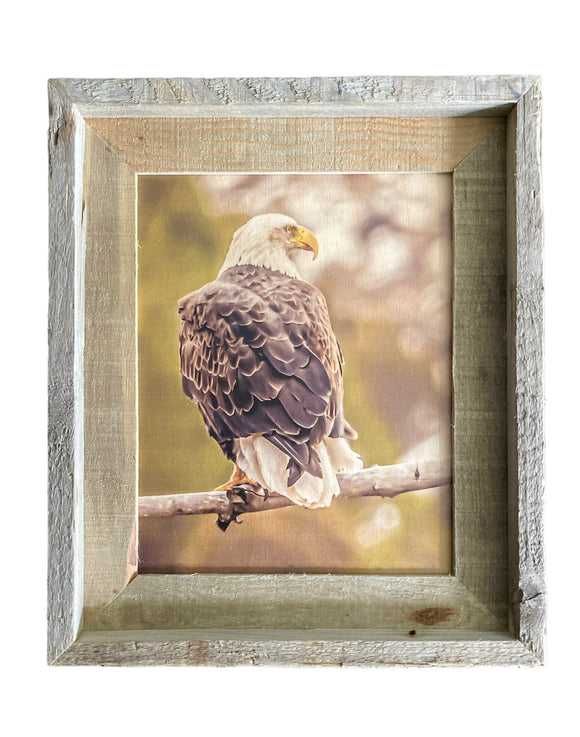 Sunset Eagle- FRAMED 8x10 wood print