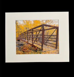 Foliage Bridge photo print- 11x14