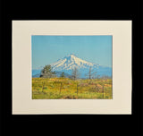 Mt. Hood photo print- 11x14