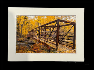 "Foliage Bridge" 5x7 print