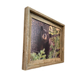Napping Black Bear- FRAMED 11x14 Wood Print