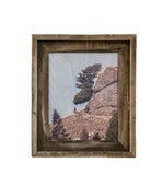 Moose Tree- FRAMED 8x10 wood print