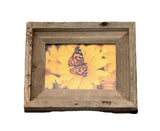 Painted Lady Butterfly- FRAMED 5x7 Wood Print