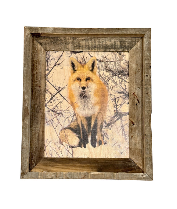 Snowy Fox- FRAMED 8x10 wood print