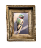 Anna's Hummingbird- FRAMED 5x7 Wood Print