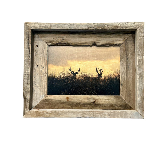 Two Bucks- FRAMED 5x7 Wood Print