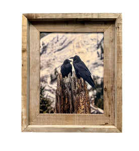 Ravens- FRAMED 8x10 wood print