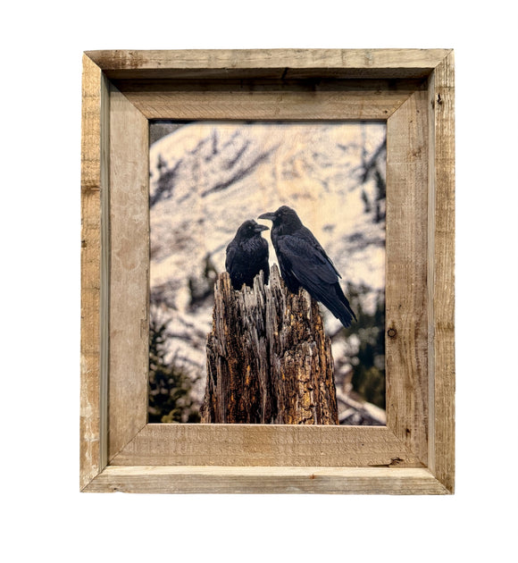 Ravens- FRAMED 8x10 wood print