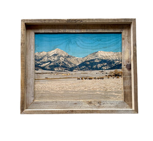 Bridgers - FRAMED 11x14 Wood Print