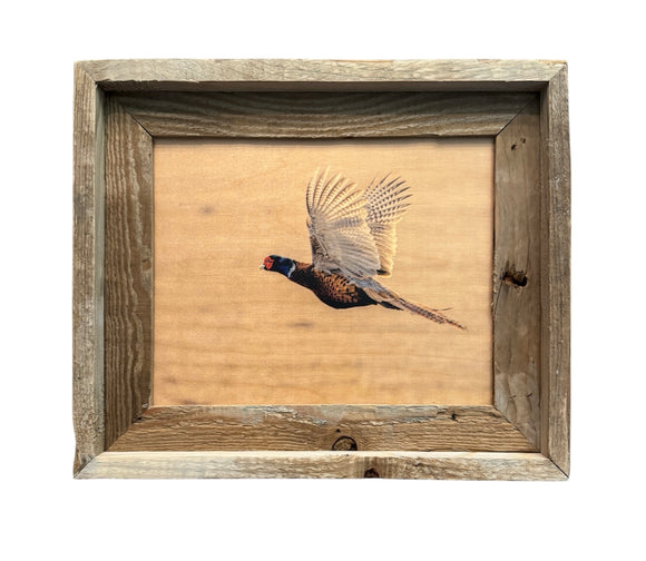 Flying Pheasant- FRAMED 8x10 wood print