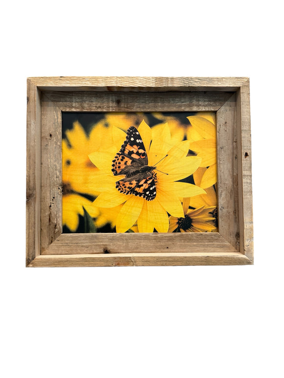 Painted Lady Butterfly- FRAMED 8x10 Wood Print