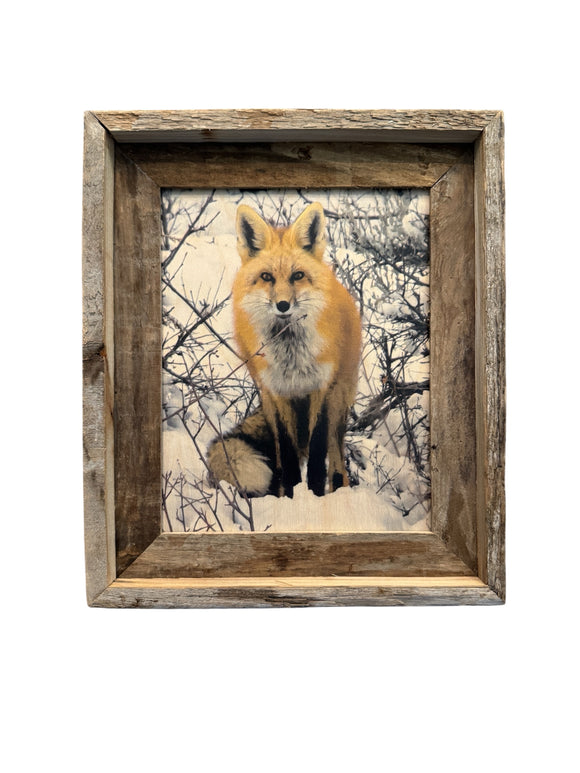 Snowy Fox- FRAMED 8x10 wood print