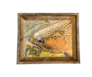 Trout Face- FRAMED 11x14 Wood Print