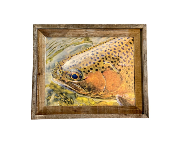 Trout Face- FRAMED 11x14 Wood Print