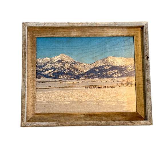 Bridgers - FRAMED 11x14 Wood Print
