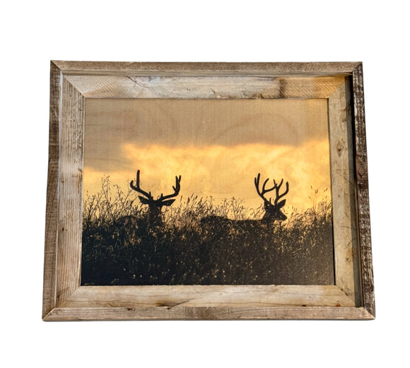 Two Bucks- FRAMED 11x14 Wood Print
