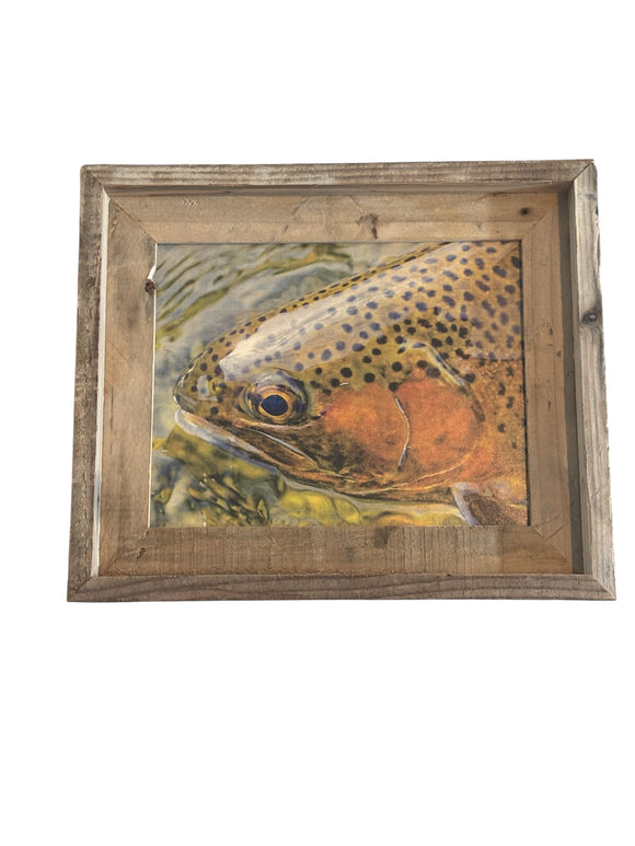 Trout Face- FRAMED 8x10 wood print