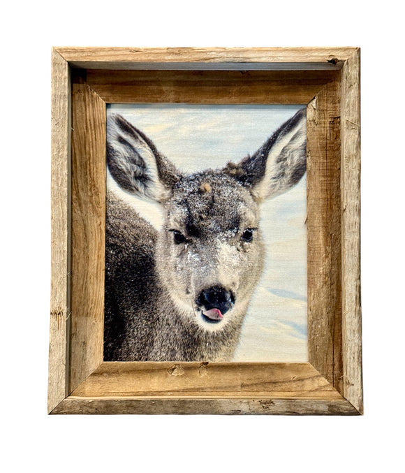 Snowy Deer- FRAMED 8x10 wood print