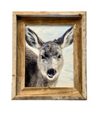 Snowy Deer- FRAMED 8x10 wood print