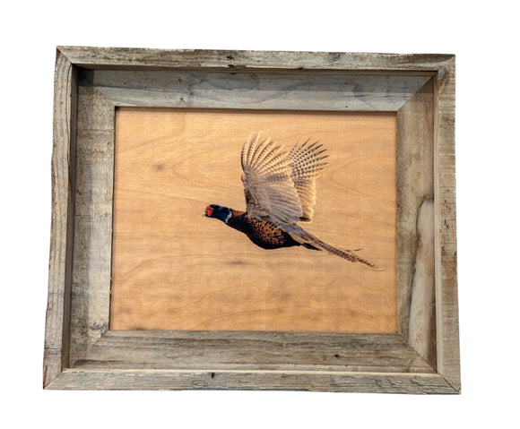 Flying Pheasant- FRAMED 8x10 wood print