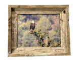 Overlooking Eagle- FRAMED 8x10 wood print
