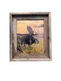 Rainy Moose- FRAMED 8x10 wood print